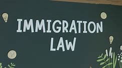 Immigration Law inscription on green chalkboard background. Graphic presentation of positive teaching process at college, drawing. Legal concept