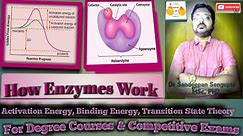 How Enzymes Work | Activation Energy, Binding Energy and Transition State Theory | Enzyme Catalysis