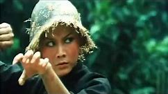 Les Sept Successeurs du Super Maître de Shaolin | 1980 (Action, Kung-Fu) Film Complet en français