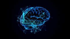 Brain technology AI Artificial intelligence digital brain animation. Neural Network. Deep Learning Modern Technologies. Big data technology. Thinking process