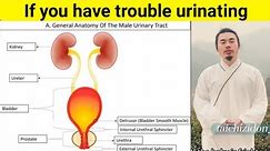 If you have problems with urination