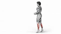 Calves- Bodyweight-Tip Toe Walking-3D (396)- Anatomy of fitness and bodybuilding with distinct active muscles- 150 frame Animation + 150 frame Alpha Matte