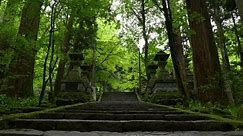 Slow cinematic tilt up over stone steps at Japanese temple deep in lush forest