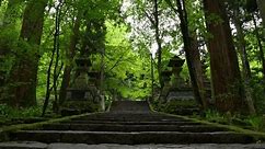 Slow cinematic tilt up over stone steps at Japanese temple deep in lush forest