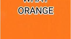 WHICH ORANGE CAME FIRST #meme #viral #funny #subscribe #roadto500subs