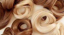 Blond, brown shiny wavy hair on white background. Shiny woman hair strand, curl. Hair care and beauty salon. Natural cosmetic products. Hair color palette.