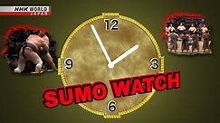 SUMO WATCH