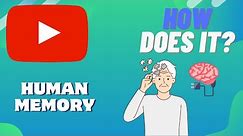 How Does HUMAN MEMORY Work