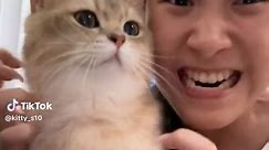 🥰🥰🥰💋💋💋🥴#kitty #cat #catsoftiktok #foryou #fyp | cuteness aggression