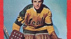 Gilles Meloche California Golden Seals 1973-74 O-Pee-Chee 2 NHL Hockey Card #gillesmeloche #californiagoldenseals #goldenseals #hockeycards #hockeyhistory #nhlhistory | Vintage Hockey Cards Report