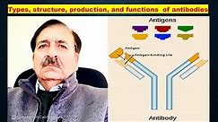 Types, structure, production, and functions of antibodies. Lecture by Dr Alam Zeb
