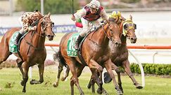 Magnus out to be King of Adelaide in Cummings Stakes