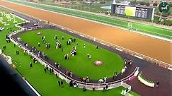 Here is the first Arabian horse race... - Arabian Jockey Club