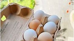 🍳 🥚 Simple Eggs . Let’s talk about .eggs by @simpleeggs4u #egg .eggs are small batch permaculture farmers raising beautiful hens free to walk on green pastures under the big blue sky.our eggs are of different sizes and colours from seven heritage chicken breeds.-araucana -cream legbar -andalusia -australorp -ancona -leghorn -hisexHere are our 3 ways on how to enjoy them!1) We love the “raw egg over rice” a lot, and checkout their golden egg yolk. It’s super good and creamy.2) As for “hard boil