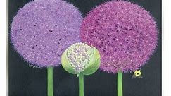 Stupell Vintage Allium Plants Wall Plaque Art Design by Ann Jasperson - Bed Bath & Beyond - 39060638
