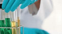 Un chercheur de laboratoire développe de nouveaux médicaments ou soigne l'utilisation de liquide chimique coloré dans un tube de laboratoire. Avancement technologique des soins de santé avec expertise scientifique ou chimique et équipement de laboratoire. Rigide.