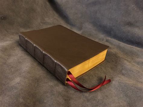 NRSV New Revised Standard Version new oxford annotated bible with apocrypha