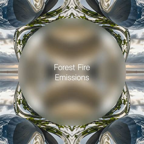 How Do Carbon-Oxygen Bonds Form during Fire? → Learn