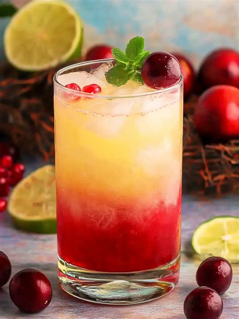 Bay Breeze: Easy 3-Ingredient Tropical Vodka Cran Drink Bliss - Kaley ...
