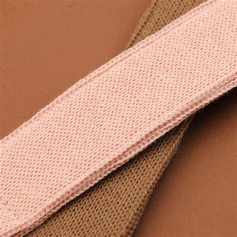 What Do Pet Birds Eat? A Complete Guide to Bird Diets