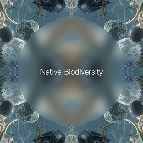 What Types of Biodiversity Are Most Affected by Paddy Flooding? → Learn