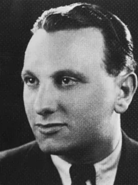 Steve Schmolaris's Album Review: Ocelot Spirit | Jungle Prints - Tinnitist