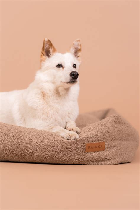 PAIKKA Boucle Bed dog bed, light brown | Finnish Design Shop