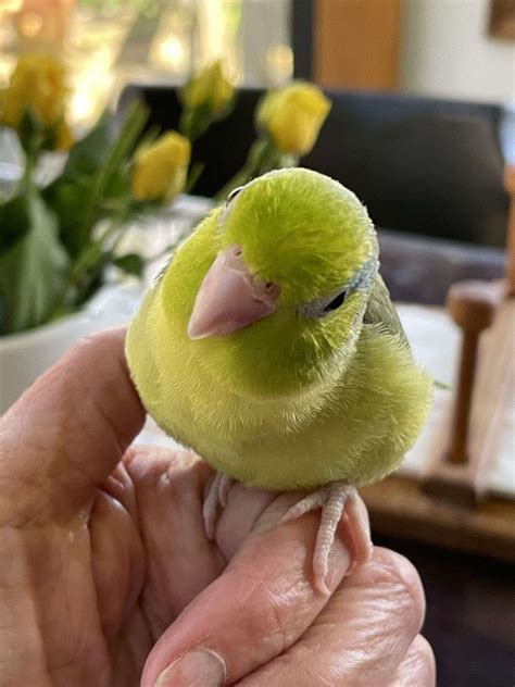 Such a Pretty Boy!