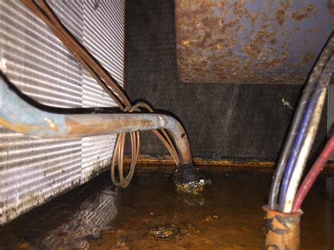 Fix Refrigerant Leak Entire Gallery Of Pictures & Videos #690