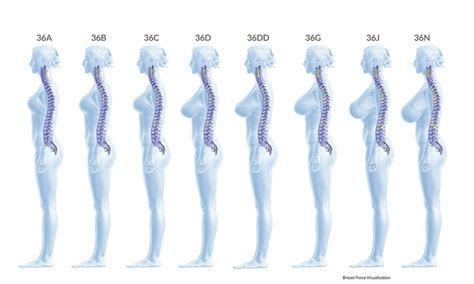 Marirea sanilor si influenta acesteia asupra coloanei vertebrale