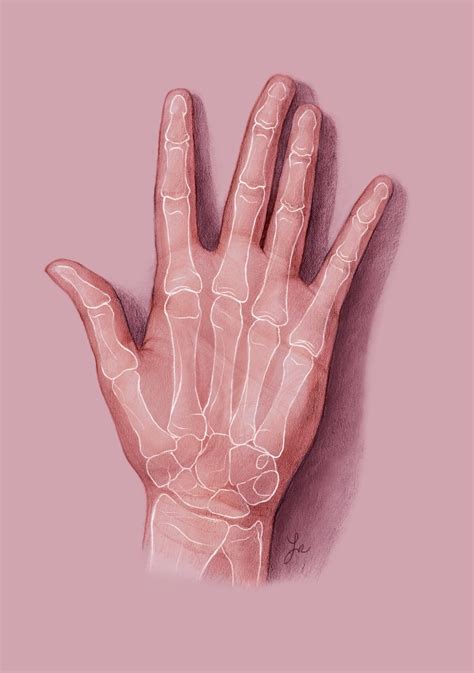 Bone Drawing On Hand Tumblr