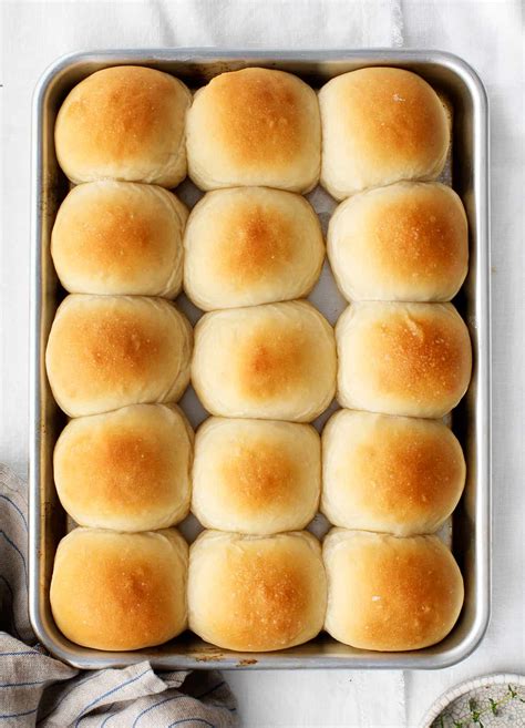 Homemade Dinner Rolls Recipe Easy