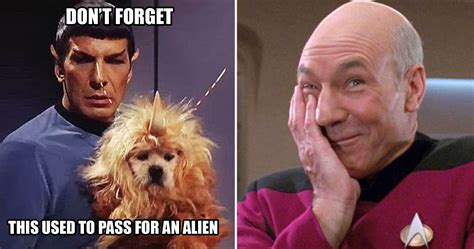 Boldly Go: Hilarious Star Trek Memes Only True Fans Will Understand
