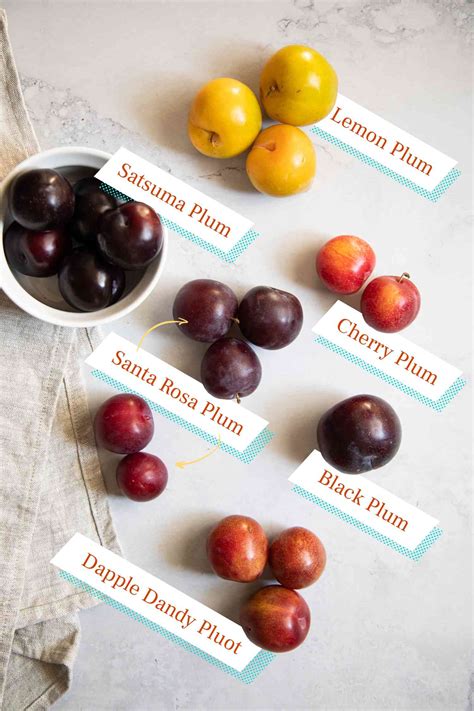 Plums: Varieties, Season, and Picking the Best