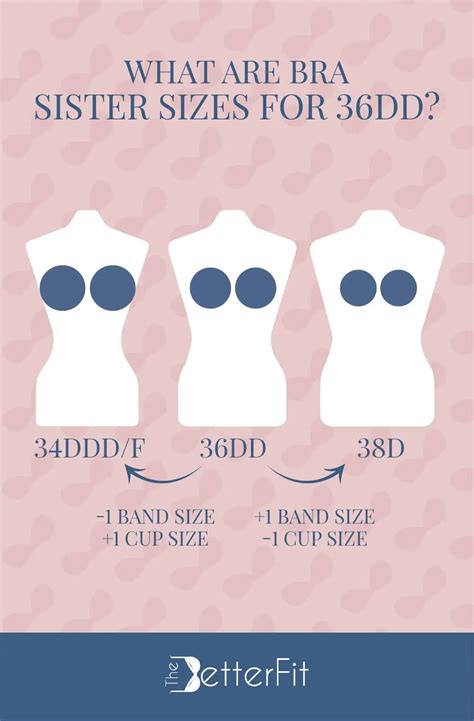 How Big is a 36DD Bra Cup Size? | TheBetterFit