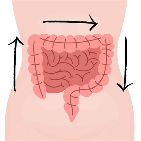 The Secret to Pooping Like a Pro: How Abdominal Massage Helps Constipation, Cramps, Gas and ...