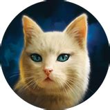 Ромашка (Грозовое племя) | Коты-воители вики | Fandom