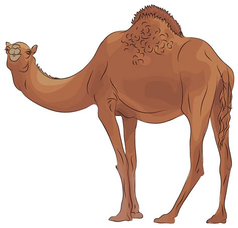 camel clipart #3183692 | Clipart Library