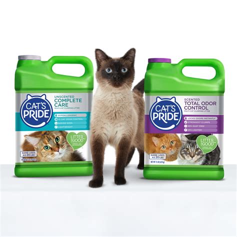 Independent Cat Society