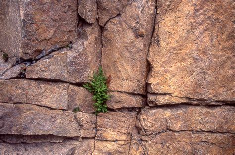 Chemical Weathering Dissolution