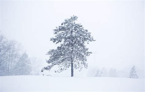 Can you eat snow? We asked the experts. | Hello Homestead