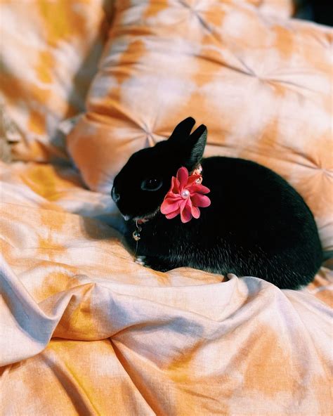 Gallery | ps-itsem | VSCO