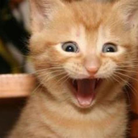 [Obrazek: OIP.-vyUP4B3w1EJCTl8i-kAXwHaHa?w=600&amp...p;amp;rm=3]