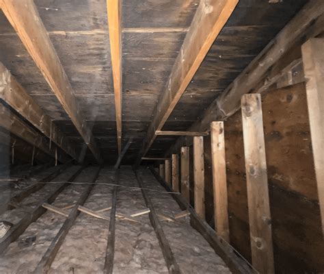 Mold in attics is a much greater/common problem than people think. This ...
