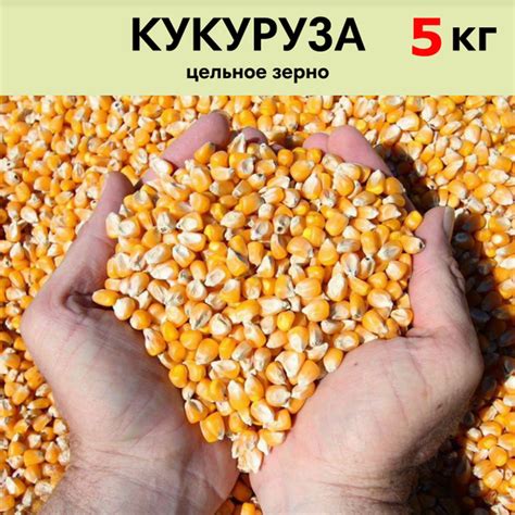 Кукуруза кормовая сухая цельное зерно 5 кг - купить с доставкой по ...