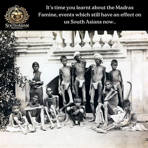 SAP | Fat Loss for South Asians (@southasianprotocol) • Instagram photos and videos