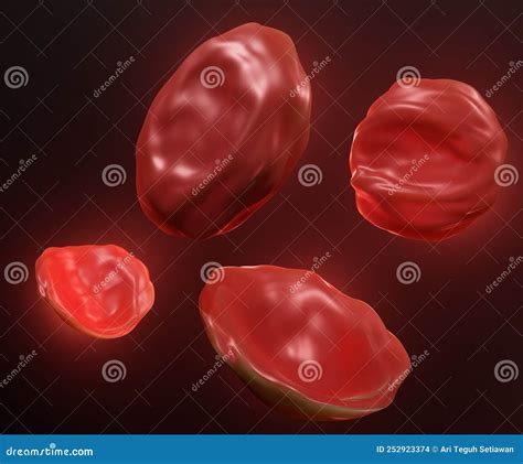 Red Blood Cells are in a Hypertonic Solution Stock Illustration ...