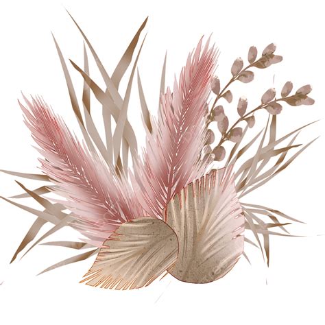 Pampas Grass Branches And Stems Watercolor Decoration, Watercolor ...