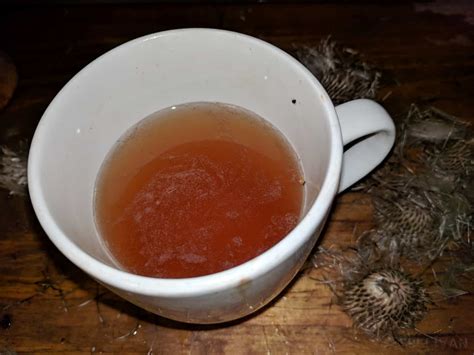 How To Make Milk Thistle Tea From Powder at Jessica Dowie blog