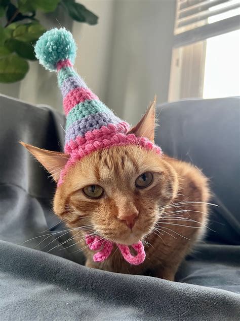 Birthday Hat for Cats, Cat Birthday Hat, Birthday Hat for Pets, Party ...